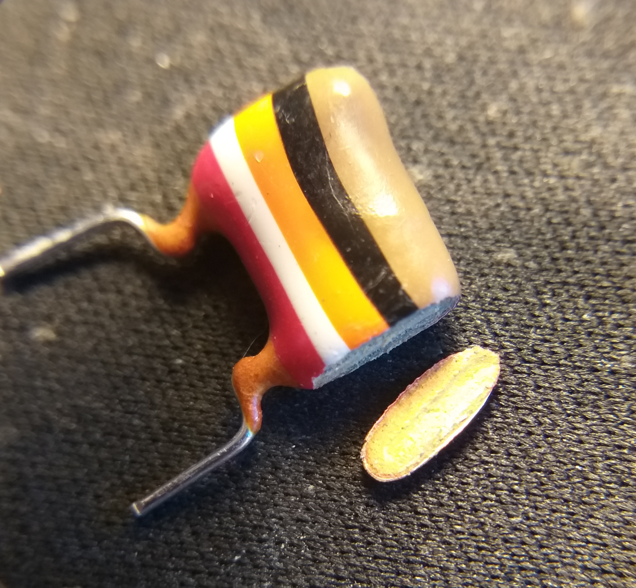 Broken tropical fish capacitor